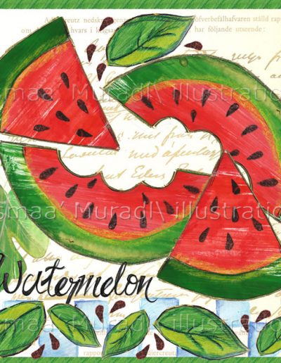 watermelon Custom illustrations
