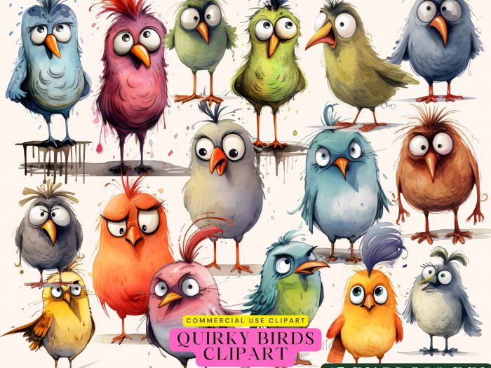 quirky-birds-clipart-png-graphics